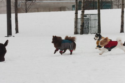 Jan28_07_424.JPG