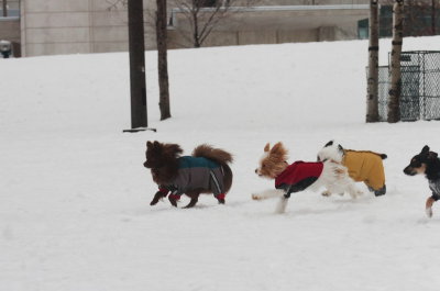 Jan28_07_425.JPG