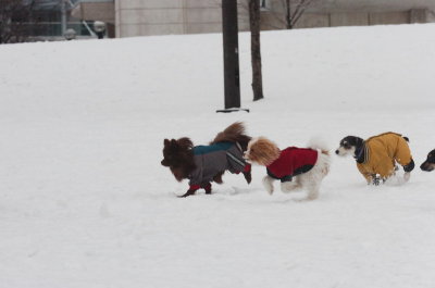 Jan28_07_426.JPG