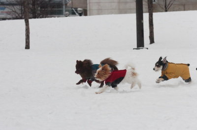 Jan28_07_427.JPG