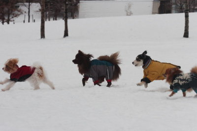 Jan28_07_428.JPG