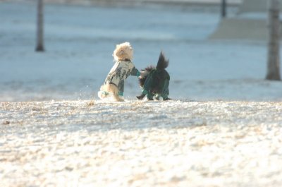 Feb9_07_269.JPG