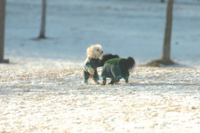 Feb9_07_271.JPG