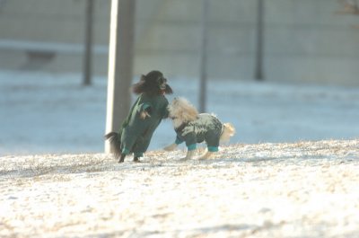 Feb9_07_273.JPG