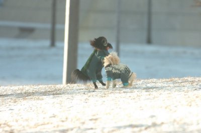 Feb9_07_274.JPG