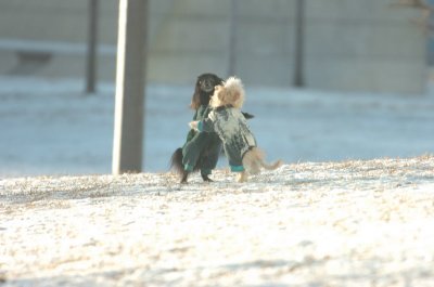 Feb9_07_275.JPG