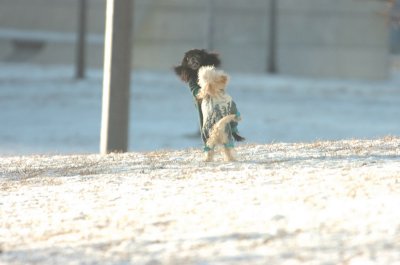Feb9_07_276.JPG