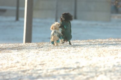 Feb9_07_277.JPG