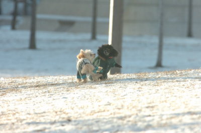 Feb9_07_278.JPG