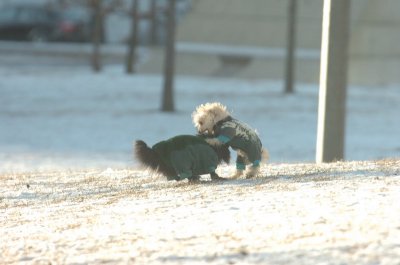 Feb9_07_281.JPG