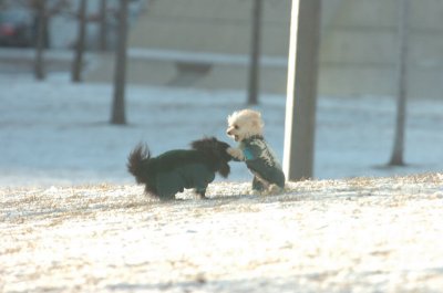 Feb9_07_282.JPG