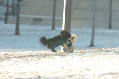 Feb9_07_283.JPG