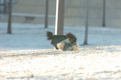 Feb9_07_285.JPG