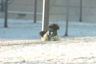 Feb9_07_286.JPG