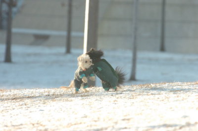 Feb9_07_289.JPG
