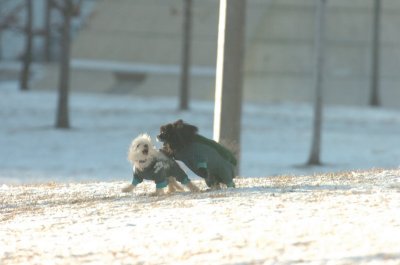 Feb9_07_290.JPG
