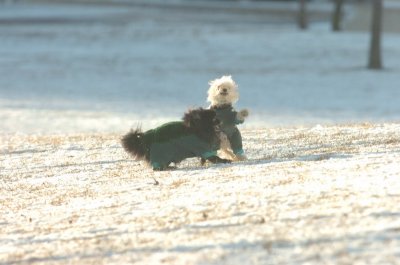 Feb9_07_291.JPG