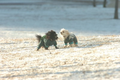 Feb9_07_293.JPG