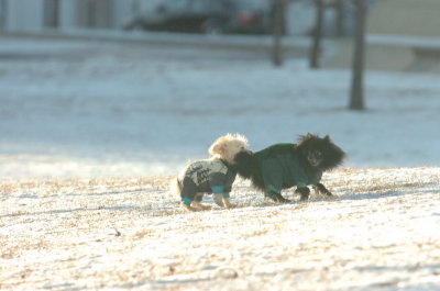 Feb9_07_294.JPG