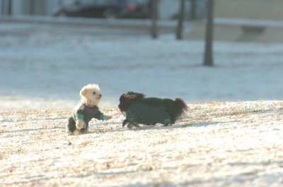 Feb9_07_295.JPG