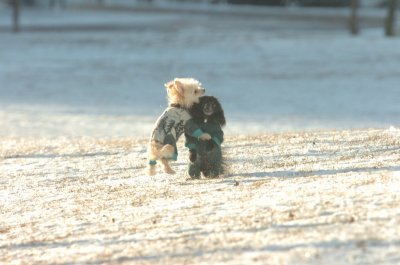 Feb9_07_296.JPG