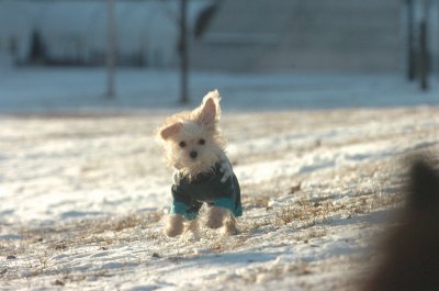 Feb9_07_298.JPG