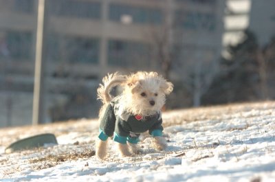 Feb9_07_300.JPG