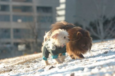 Feb9_07_301.JPG