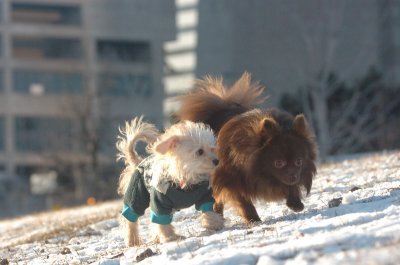 Feb9_07_302.JPG