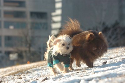 Feb9_07_303.JPG