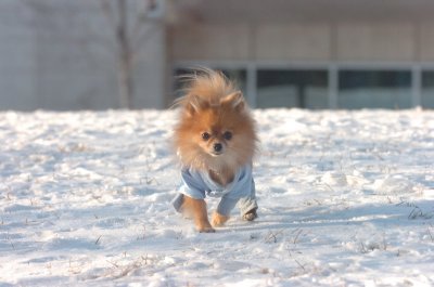 Feb9_07_304.JPG