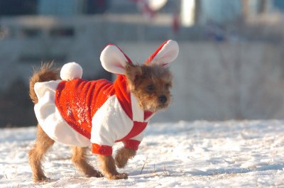 Feb9_07_305.JPG