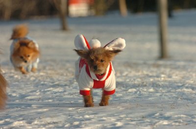 Feb9_07_306.JPG