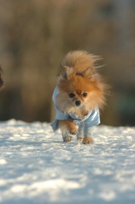 Feb9_07_308.JPG
