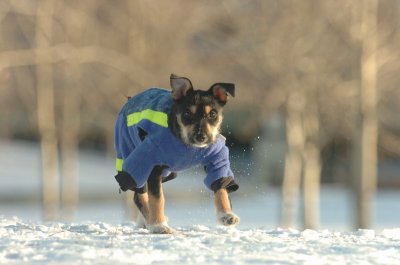 Feb9_07_310.JPG