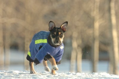 Feb9_07_311.JPG