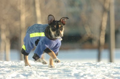 Feb9_07_312.JPG