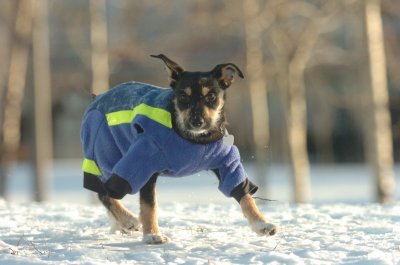 Feb9_07_313.JPG