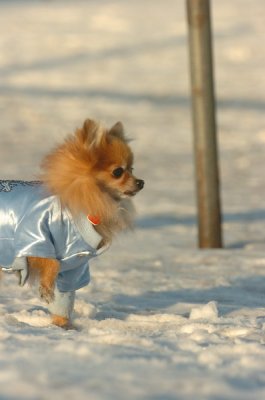 Feb9_07_316.JPG