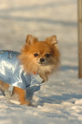 Feb9_07_317.JPG