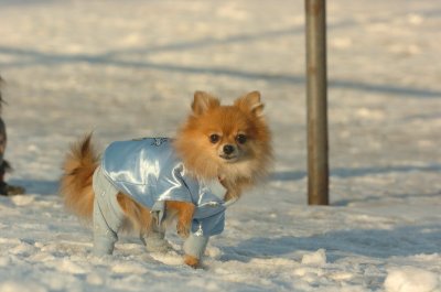 Feb9_07_318.JPG