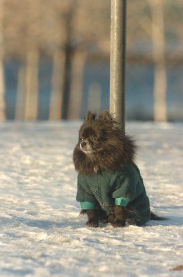 Feb9_07_319.JPG