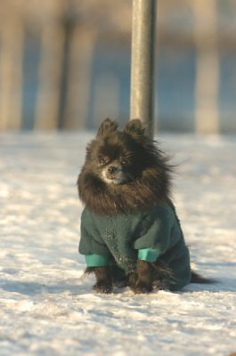 Feb9_07_320.JPG