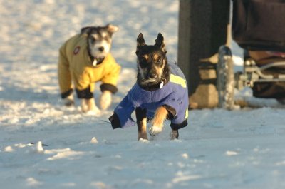 Feb9_07_324.JPG