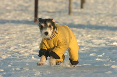 Feb9_07_326.JPG