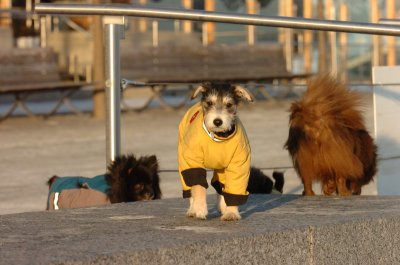 Feb9_07_327.JPG