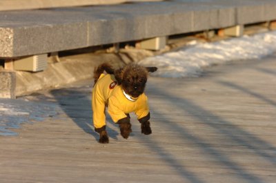 Feb9_07_328.JPG