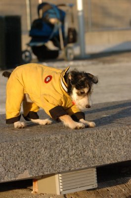 Feb9_07_329.JPG