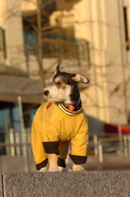 Feb9_07_330.JPG
