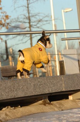 Feb9_07_331.JPG